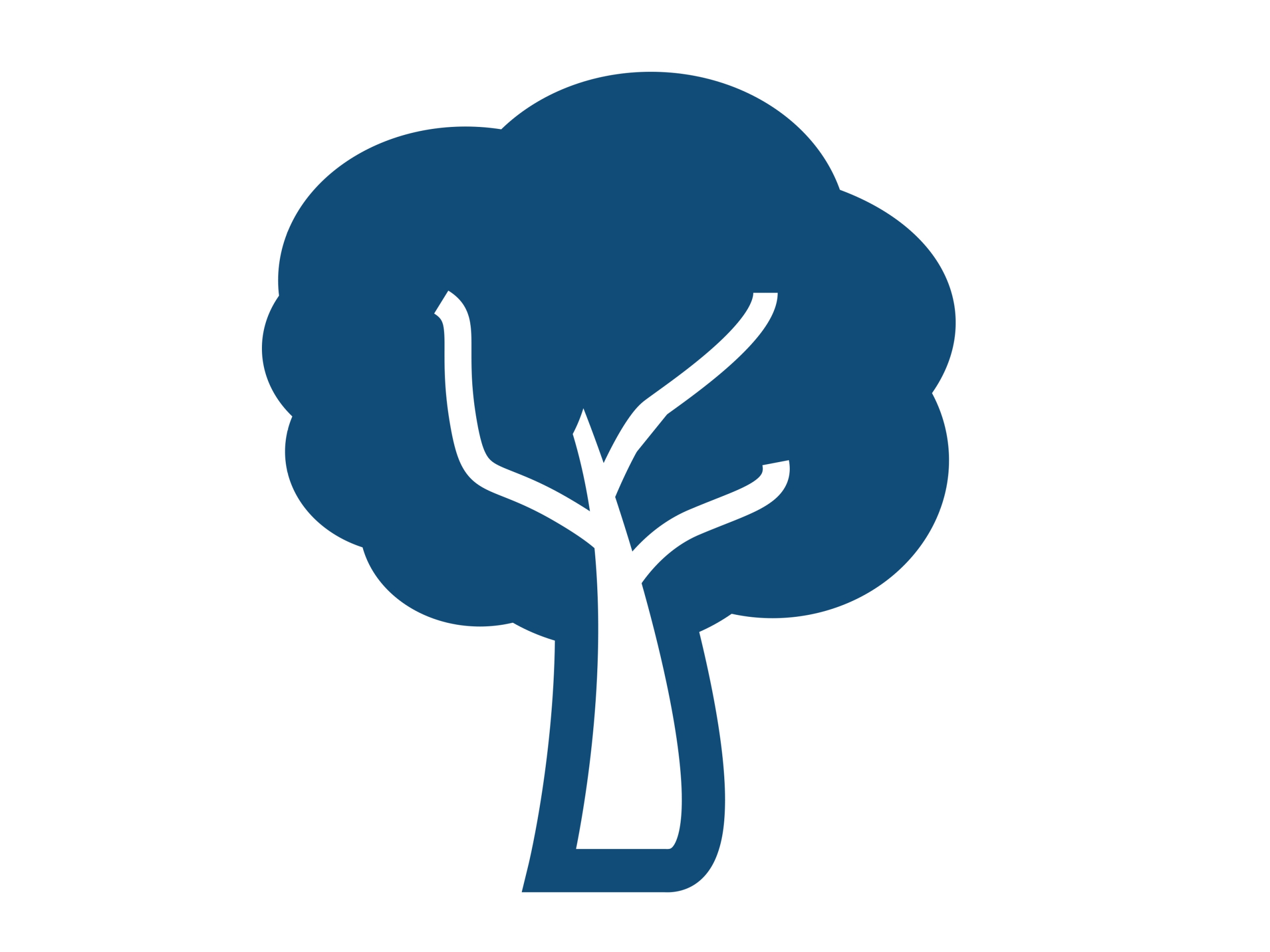 Sustainability Group